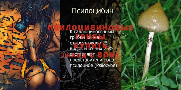 метадон Армянск