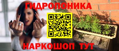 крисы Сланцы